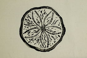 id-27