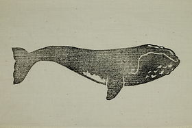 id-34